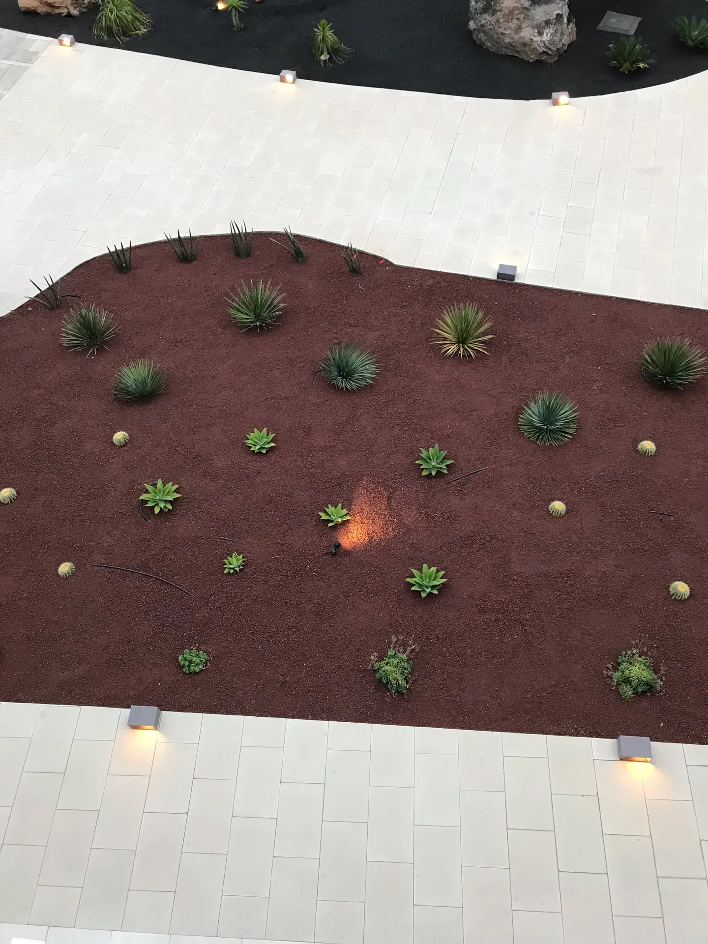 Lanzarote Hotel lava beach puerto del carmen sukkulentenbeet rotes lavagranulat