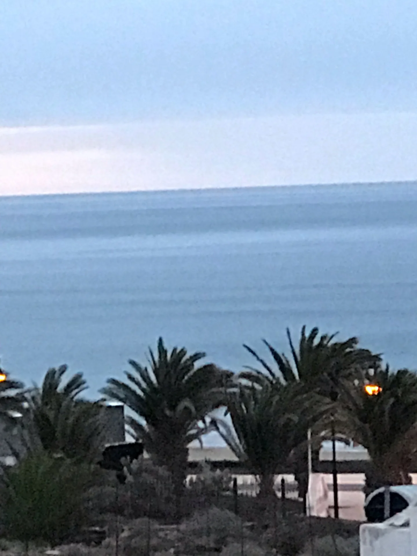Lanzarote Los pocillos palmen meerblick