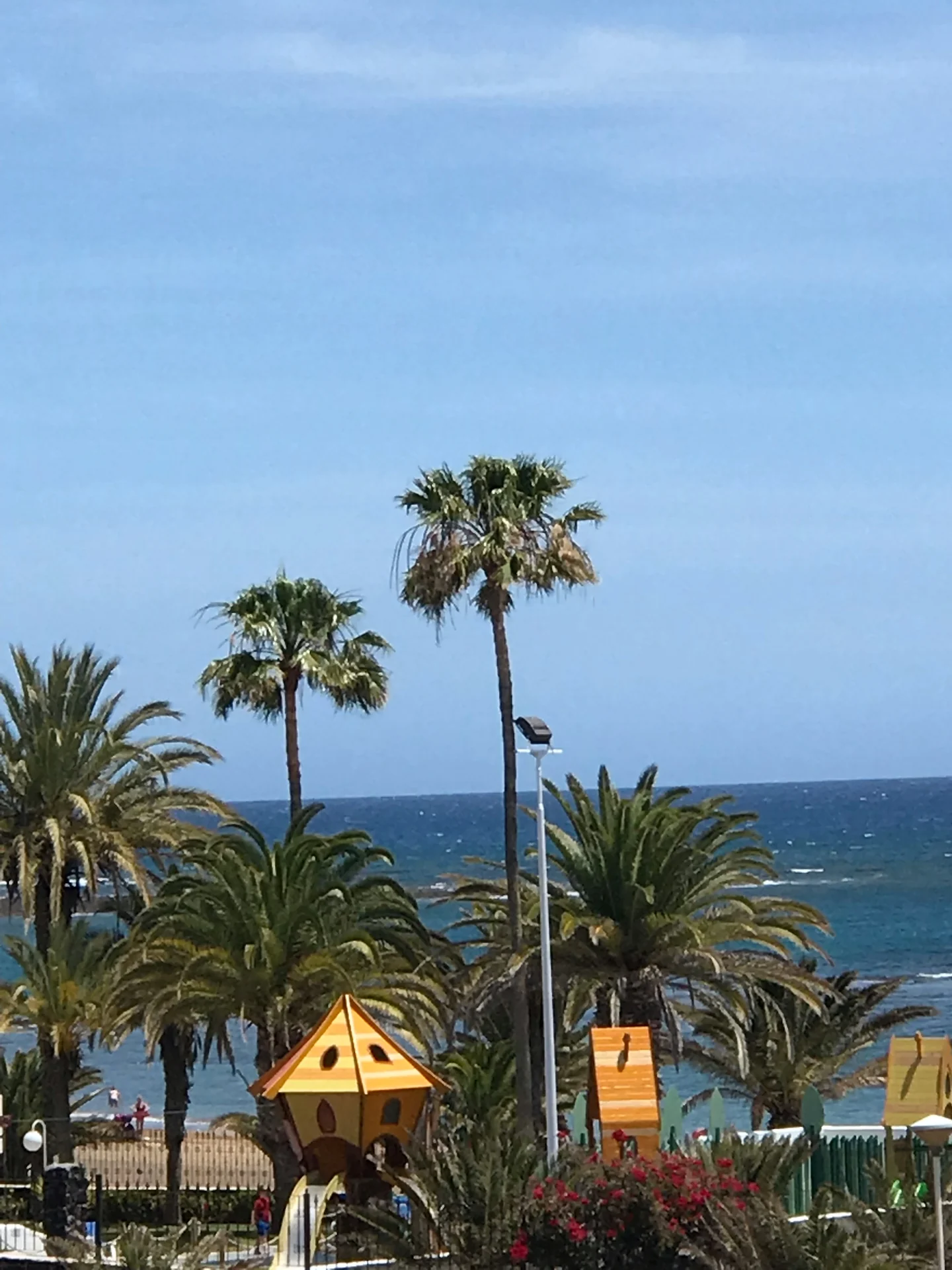 Lanzarote Los pocillos palmengarten spielplatz strandblick