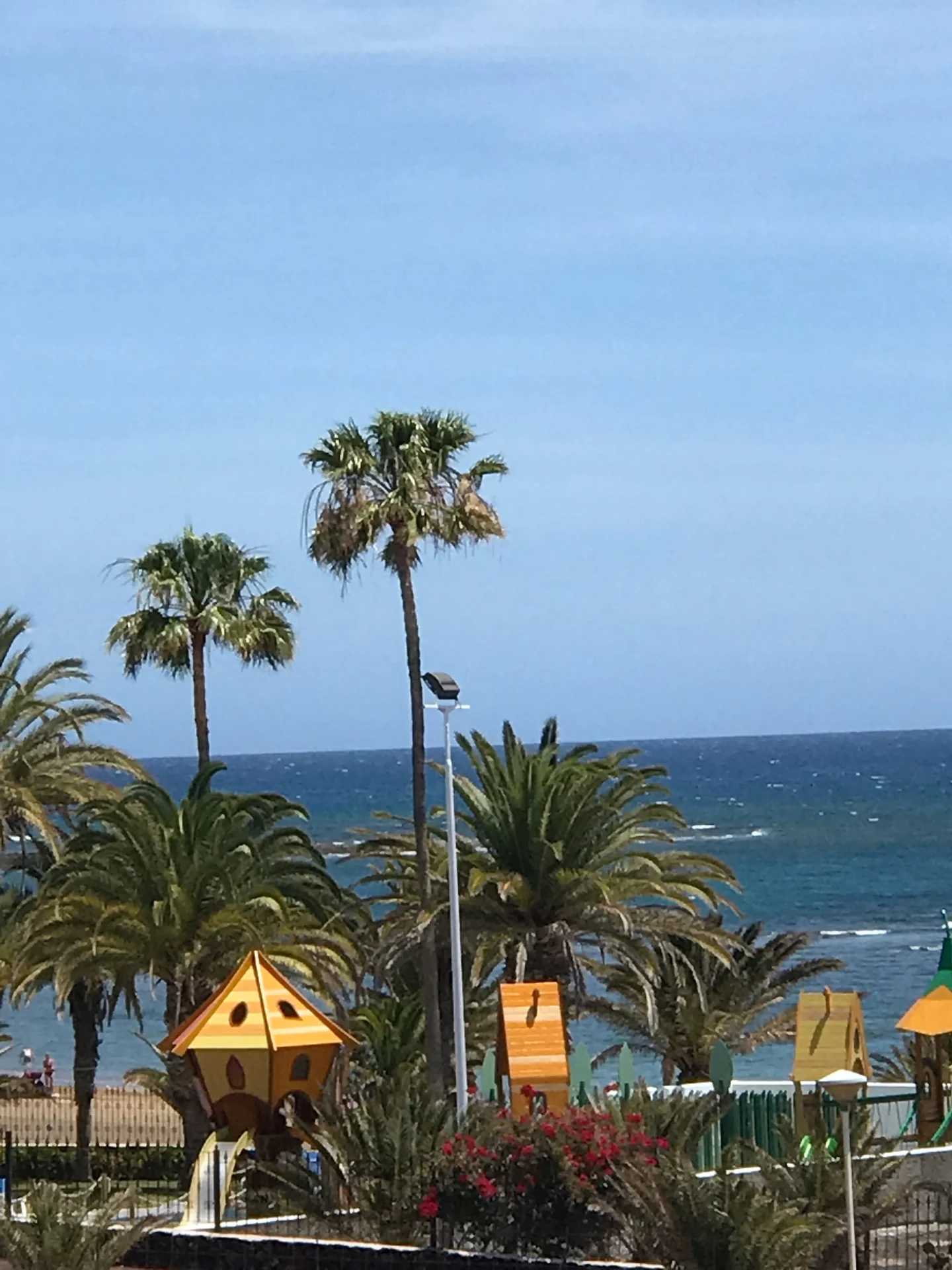 Lanzarote Los pocillos palmengarten spielplatz strandblick