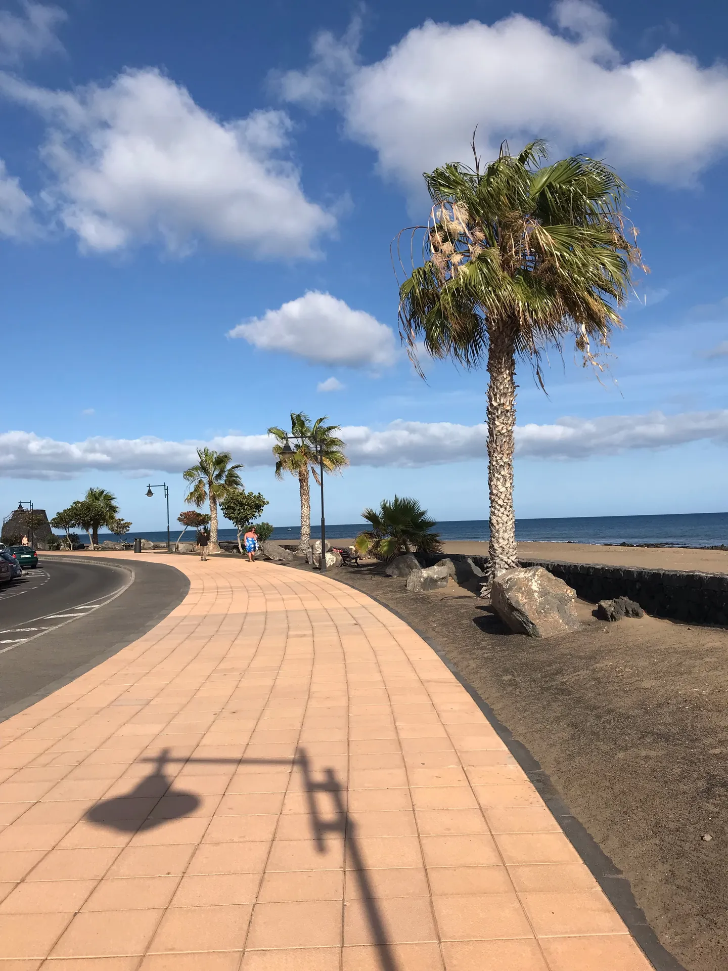 Lanzarote Puerto del carmen kuestenpromenade palmen