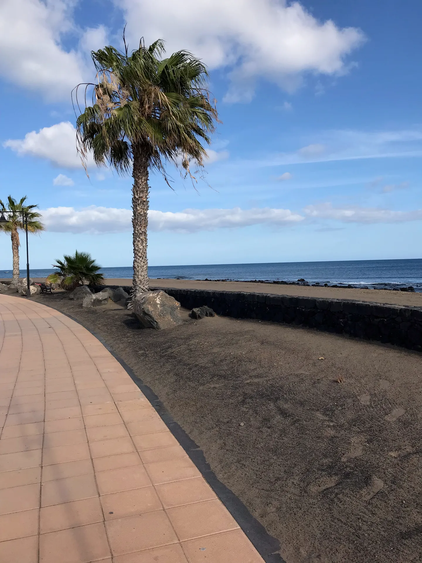 Lanzarote Puerto del carmen kuestenpromenade palmen