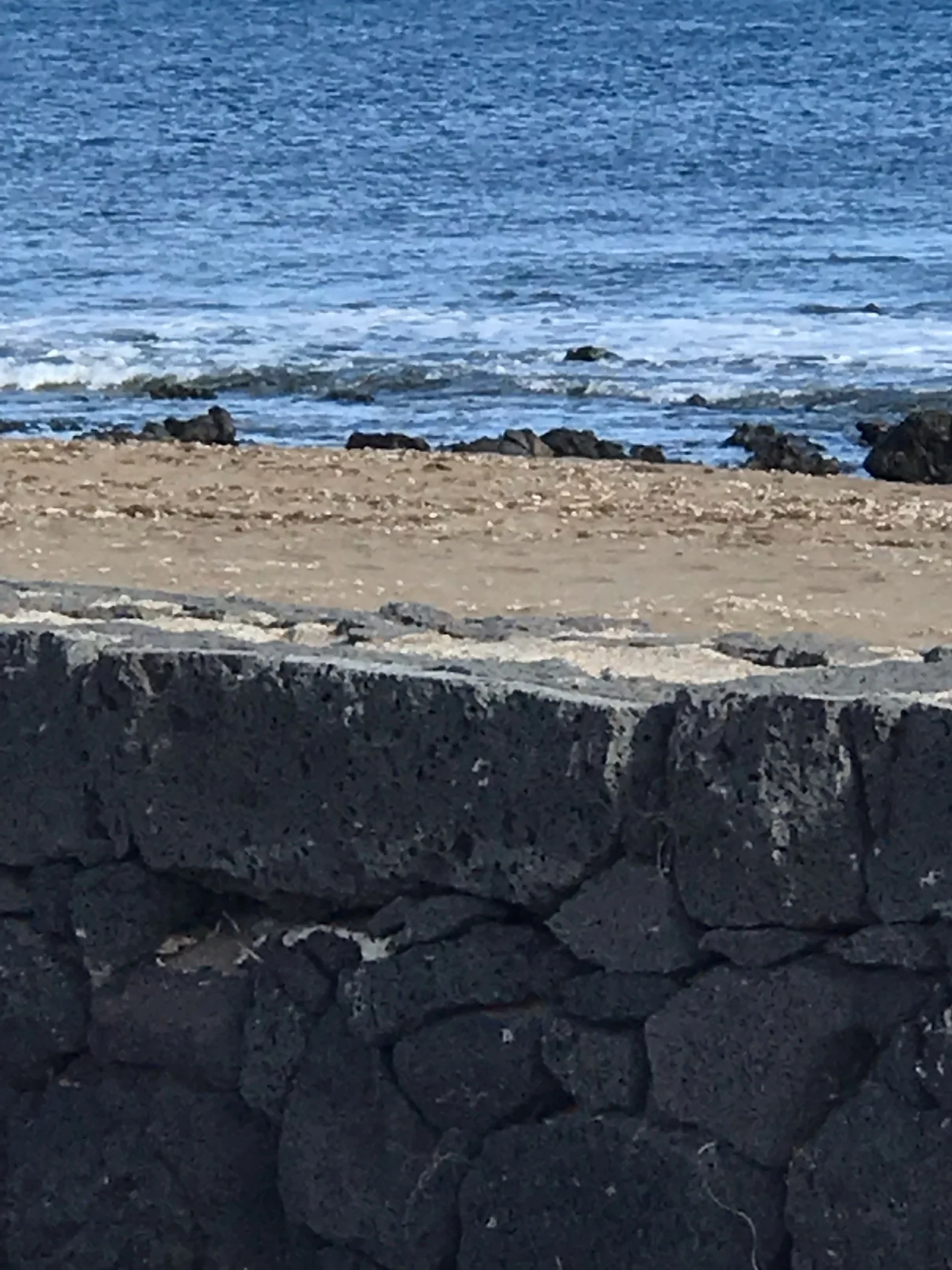 Lanzarote Puerto del carmen lavasteinmauer meerblick