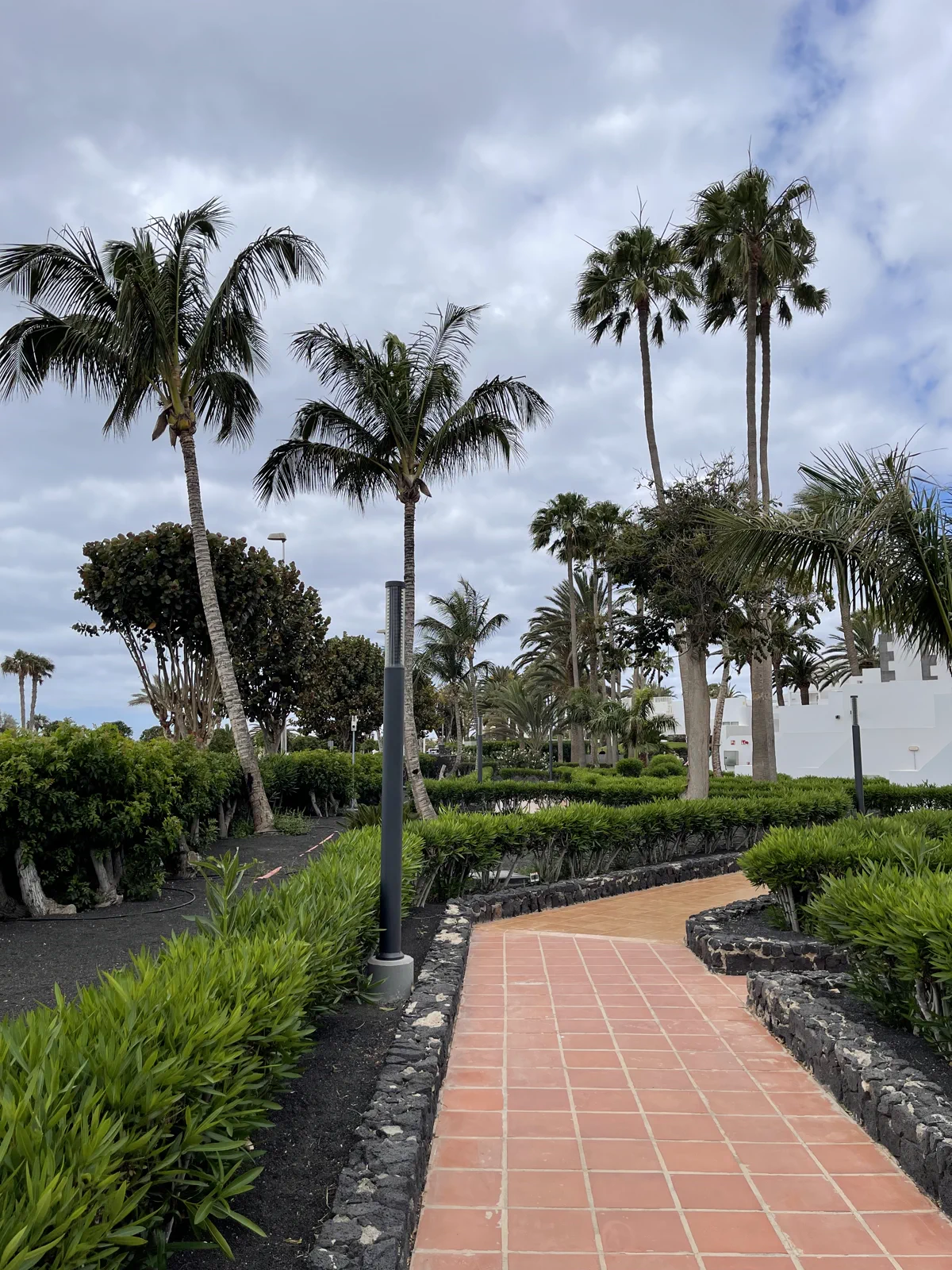 Gartenanlage mit Palmenweg im Hotel Riu Paraiso Lanzarote