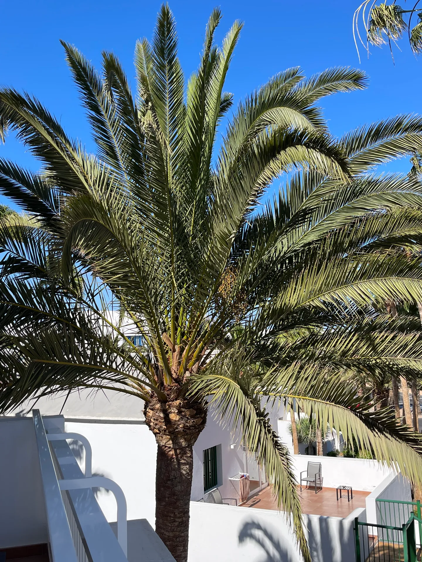 Lanzarote Seaside los jameos playa palme hotelarchitektur