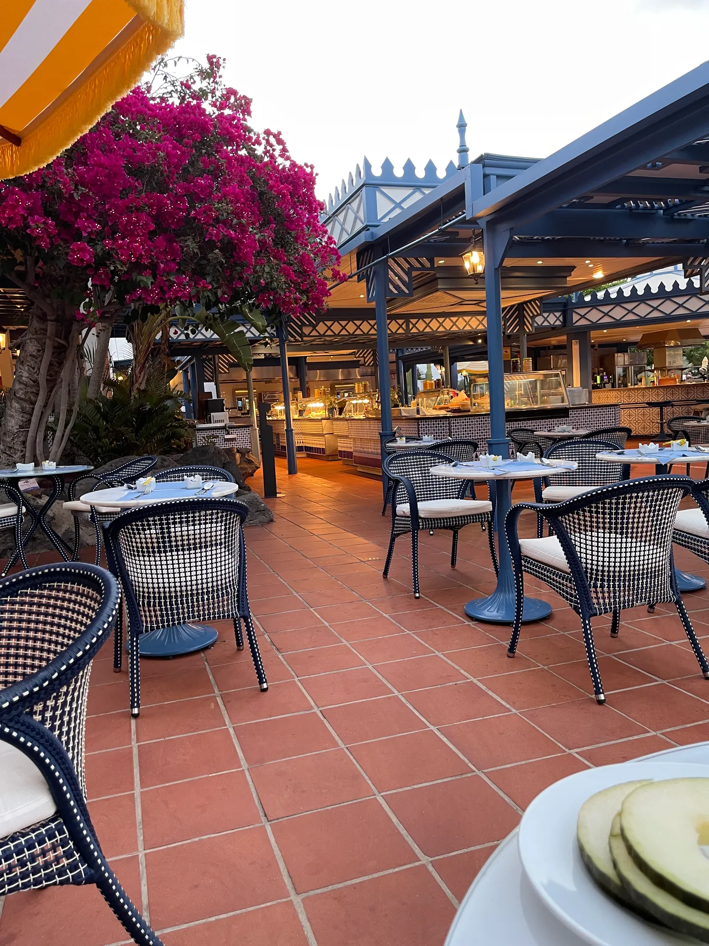 Lanzarote Seaside los jameos playa restaurantterrasse bougainvillea