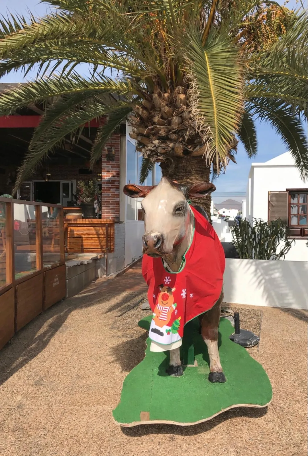 Lanzarote Tierfigur vor restaurant